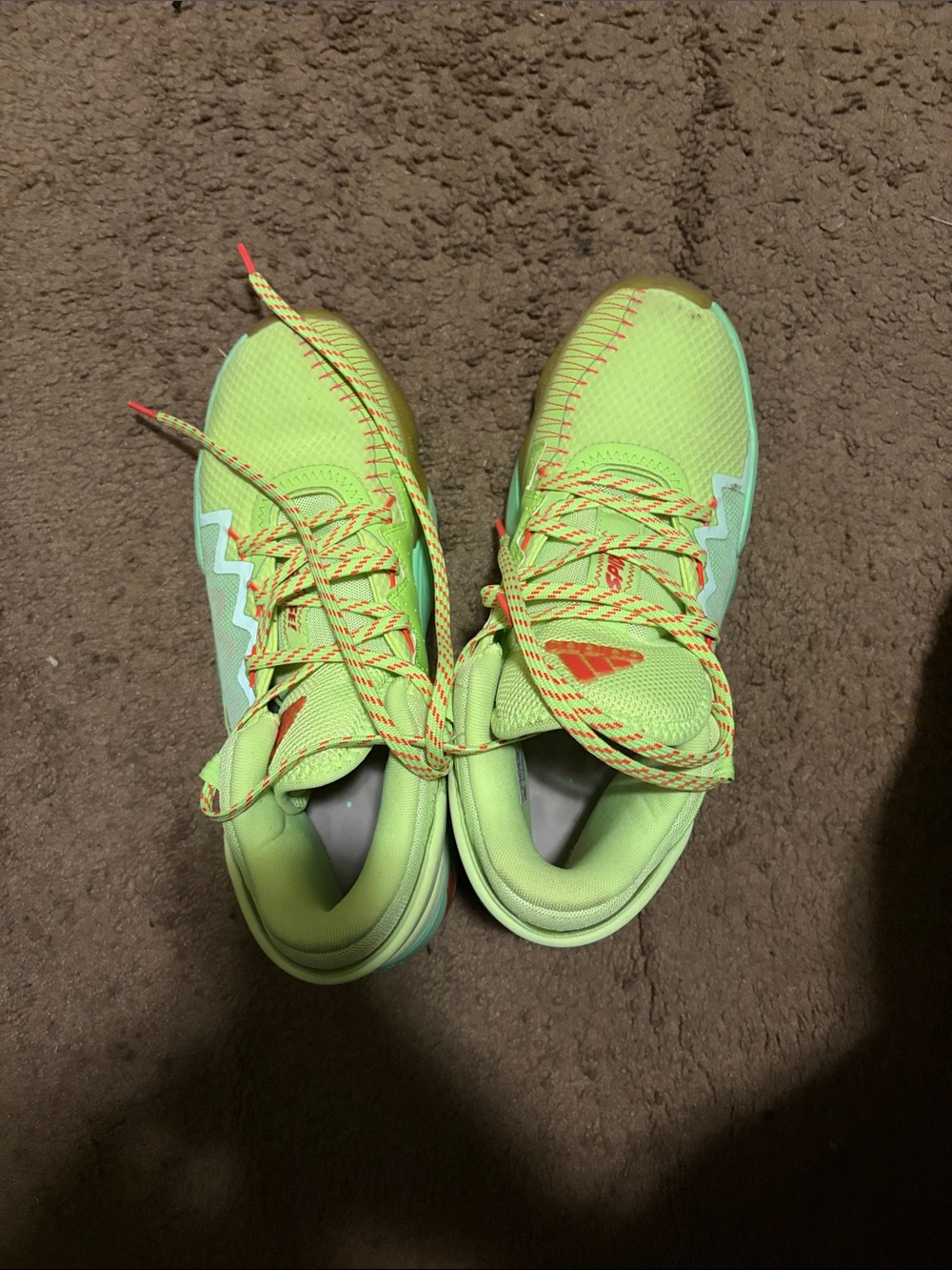 adidas hoop shoe